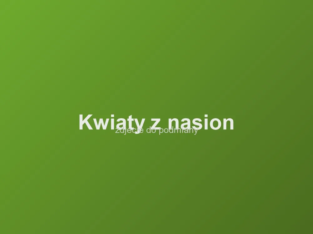 Kwiaty z naszych nasion